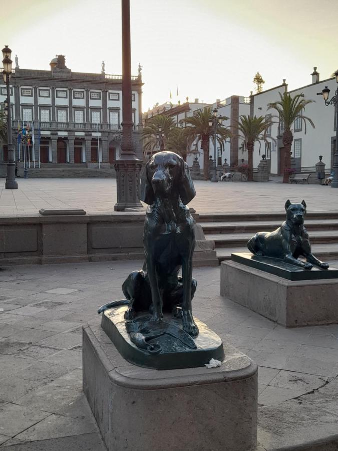 Apartament Chez Frois Las Palmas de Gran Canaria Zewnętrze zdjęcie